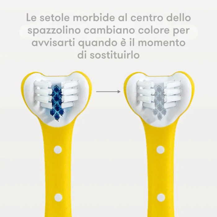 Spazzolino triangolare blu Frida Baby a 3 facce per bambini da 2 anni in su